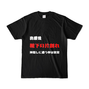 Funny T-shirt - For technical conferences