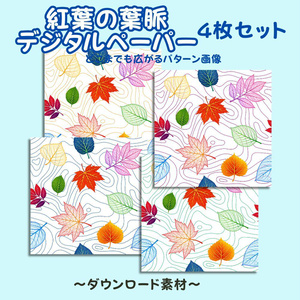 紅葉の葉脈のデジタルペーパー4点セット《ダウンロード素材》