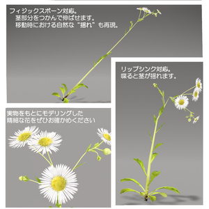 【無料】ヒメジョオン【草アバター】【オリジナル3Dモデル】𝐸𝑟𝑖𝑔𝑒𝑟𝑜𝑛 𝑎𝑛𝑛𝑢𝑢𝑠 缩略图 2