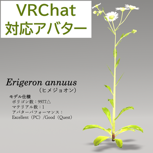 【無料】ヒメジョオン【草アバター】【オリジナル3Dモデル】𝐸𝑟𝑖𝑔𝑒𝑟𝑜𝑛 𝑎𝑛𝑛𝑢𝑢𝑠