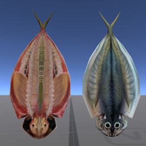 まぐろのあたまとアジの開き　マグロ and アジ