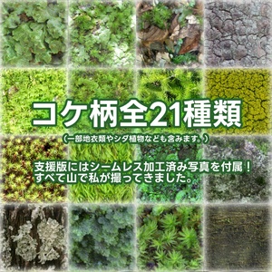 【無料】Akyo Moss -コケAkyo- 缩略图 3