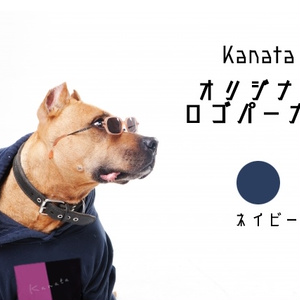 【数量限定】宙の旅スペシャルセット