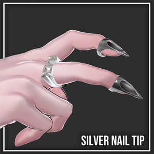 Silver Nail Tip