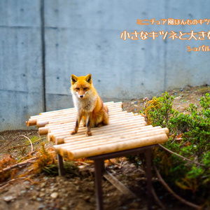 たぬきページ Maneki Neko Pendant招き猫ペンダントRD200 ｜ -シルバー