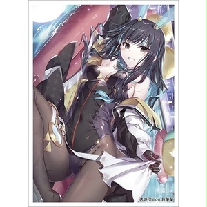 本庄雷太展】Fate/Grand Order カードスリーブ - PhraseGallery編集部_