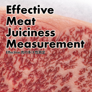 Effective肉の多汁性測定