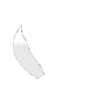 ココフォリアで使える動くしっぽ