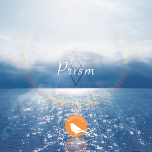 Prism / kisekilay