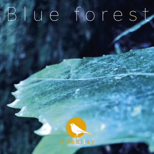 Blue forest / kisekilay