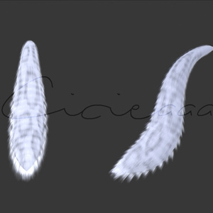 Fluffy Tail