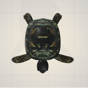 3d   亀
