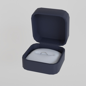 3D Model] Rings & Ring Cases