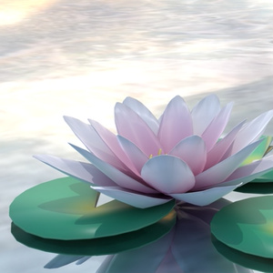 3D model] Water lilies (Lotus)