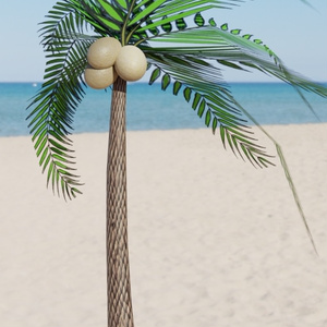 3D model] Low poly palm tree