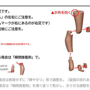 皇巫 スサノヲ 逆バニー改造キット (Skin 選択) - MUSCUTO SHOP