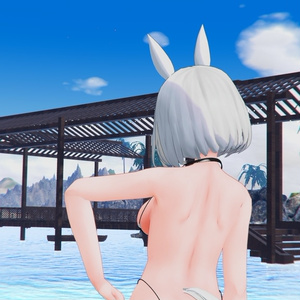 紐水着 HM05 Mark2 （エポナちゃん用） 缩略图 3