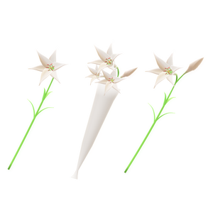 ３Dモデル ユリ（ゲーム・マンガ等利用可）