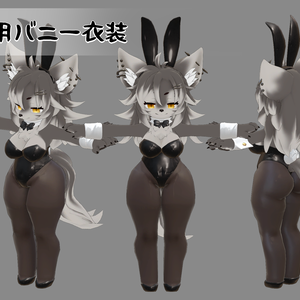 オリジナル3Dモデル【Zil用バニースーツ】