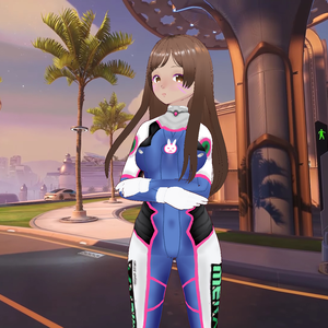 Dva Suit And Gloves