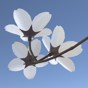 桜の飾り 缩略图 2