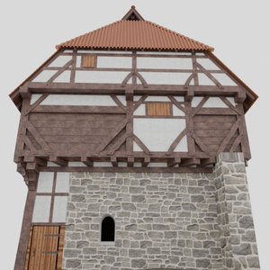 pfullendorf altes haus (ドイツ) 缩略图 2