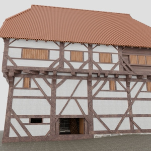 pfullendorf altes haus (ドイツ) 缩略图 3