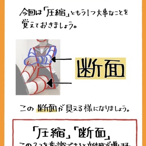 どこよりも詳しく】体癖 1 種“ポッキー” タイプまるまるレポート