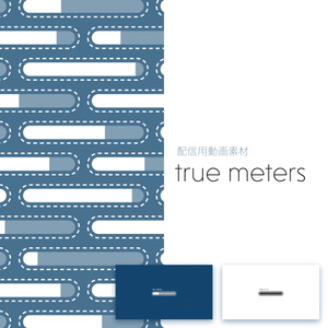 【配信用動画素材】true meters
