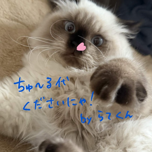 いちごみるく𝓜𝓪𝓽𝓮𝓻𝓲𝓪𝓵 《7アバター対応》 缩略图 4