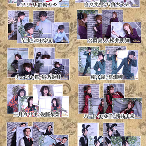 Alice in Helterland bromide