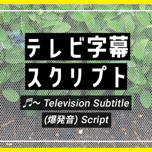 テレビ字幕スクリプト | AviUtl2