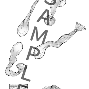 コンドーム　イラスト素材