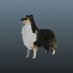 dog　3dmodel