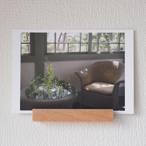 Green interior and light from the window | Photo Postcard...