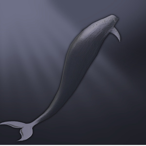 (Free)Breaching Tails/Whale&Kiruru/ 缩略图 3