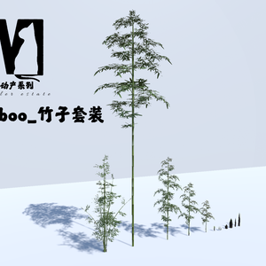 More DETAILED BAMBOO_更多细节竹子套装