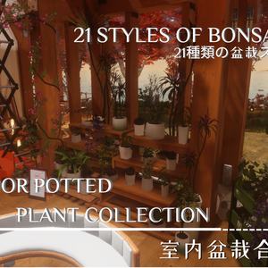 Indoor Potted Plant Collection--室内盆栽合集