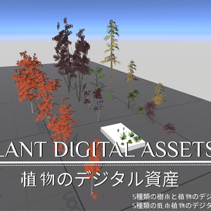 Plant digital assets_植物のデジタル資産