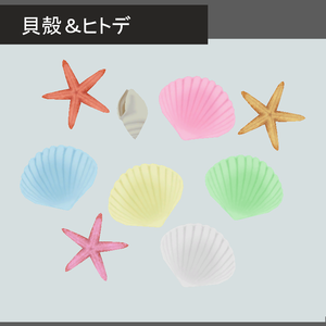 貝殻＆ヒトデ