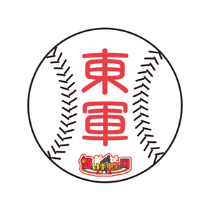 野球ボール【協力金寄付300円】