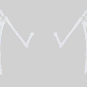 【VRChat想定】骨の翼