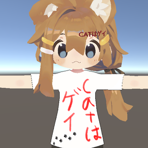 CATGAYTSHIRT