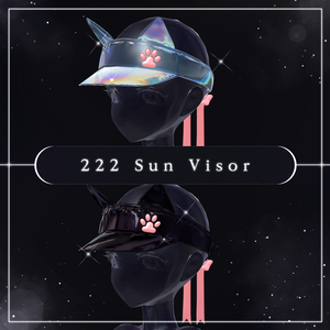 222 Sun Visor