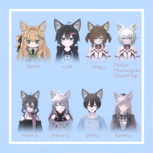 Somali Cat Ear Tail【猫耳＆しっぽ】 缩略图 3