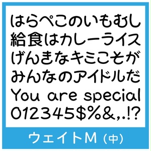 TK-takumiゆとり丸ゴシック M
