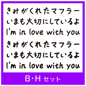 TK-takumiお気楽マーカー体 B・Hセット