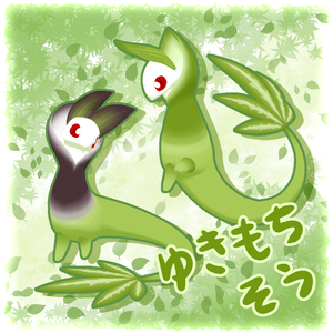ゆきもちそう