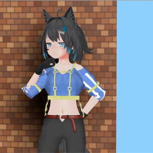 [Mishe 用] Jersey(져지)(ジャージー)