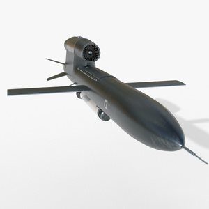 FP-5フラミンゴ巡航ミサイル